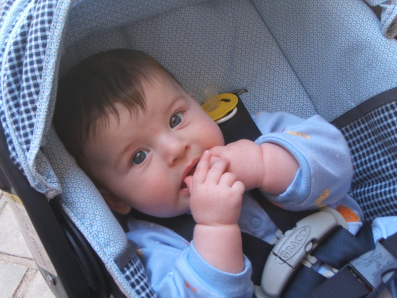 Palo Alto-Gal 6.2005 409.jpg